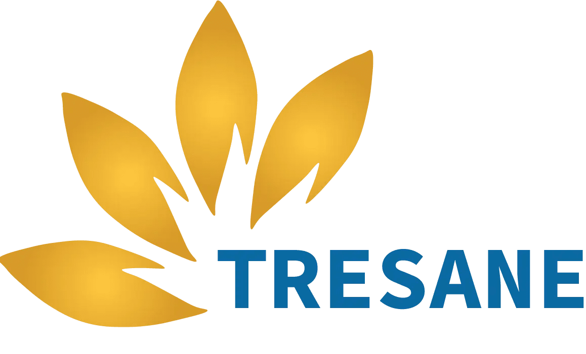 Tresane: Leadership and Team Development Solutions
